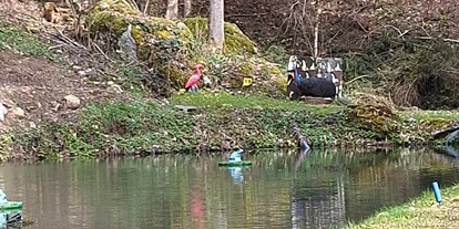 3D Parcour Bogensport - Marchtrenk - Bogensportverein Hiaslbauer