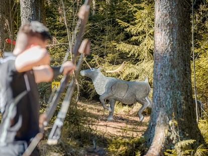 3D Parcour Bogensport - Marchtrenk - Bogensportzentrum Breitenstein