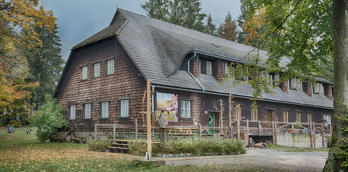 3D Parcour Bogensport - Bogenhalle - Das Bogensportzentrum  - Bogensportzentrum Breitenstein