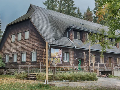 3D Parcour Bogensport - Marchtrenk - Das Bogensportzentrum  - Bogensportzentrum Breitenstein