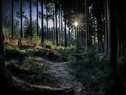 3D Parcour Bogensport - Marchtrenk - unser Wald - Bogensportzentrum Breitenstein