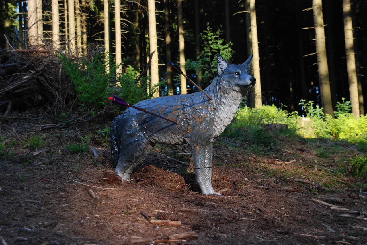 Bogensportzentrum Breitenstein Different courses 20s Blue Course