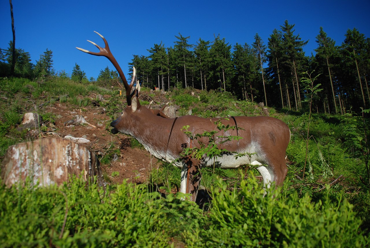 Bogensportzentrum Breitenstein Different courses 28er Red Course