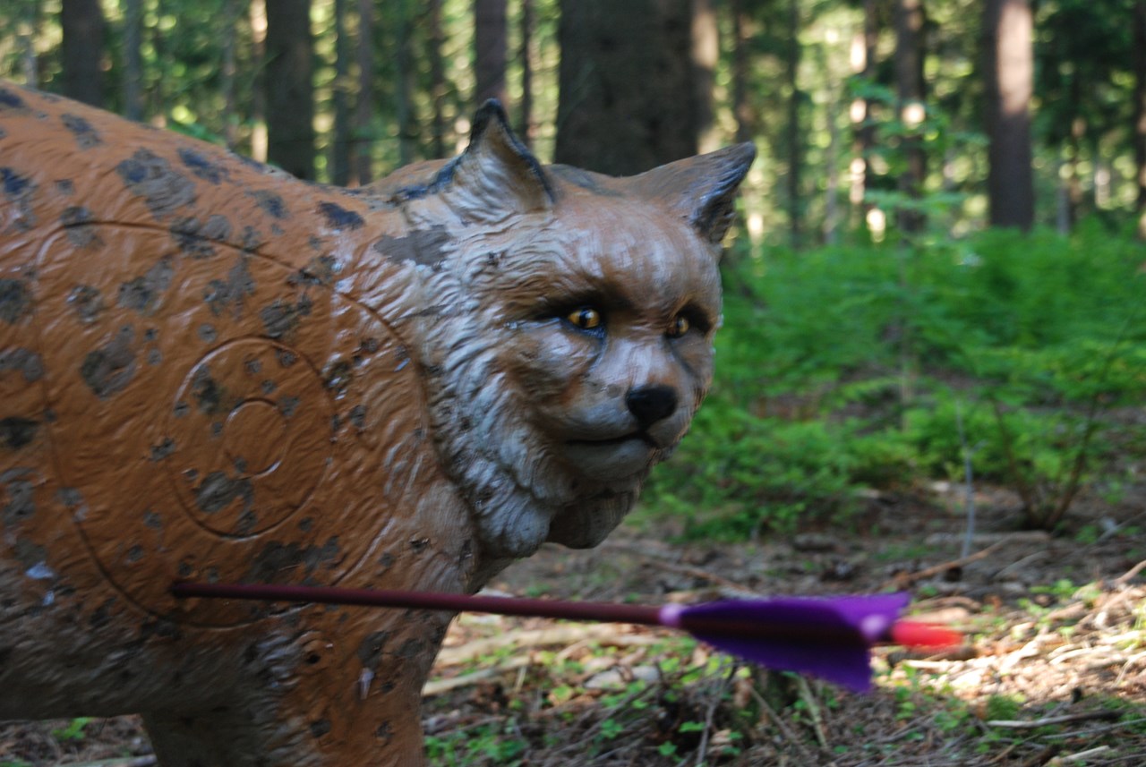 Bogensportzentrum Breitenstein Different courses 36er Yellow Course