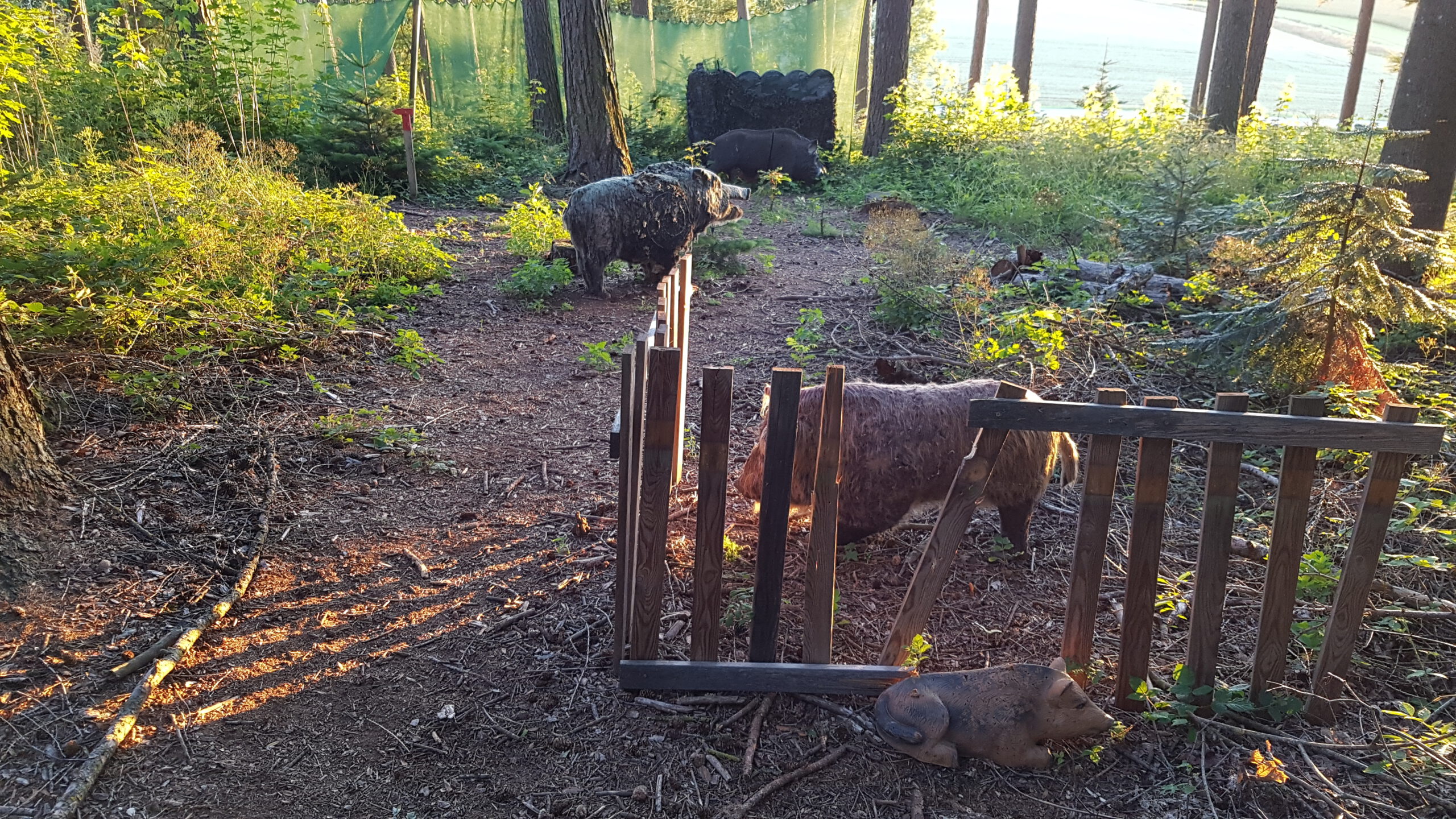 3D archery course - Bavaria - VfL Landshut 3D-Parcours