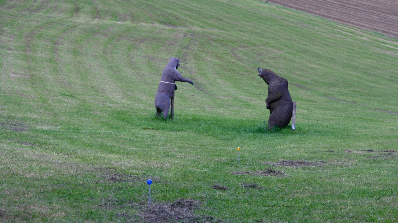 3D archery course - Bavaria - 3D Waldparcours Targetpanic Loanerland
