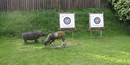 3D archery course - Kaufering - 3D Parcours - SV Tell Dasing e.V.