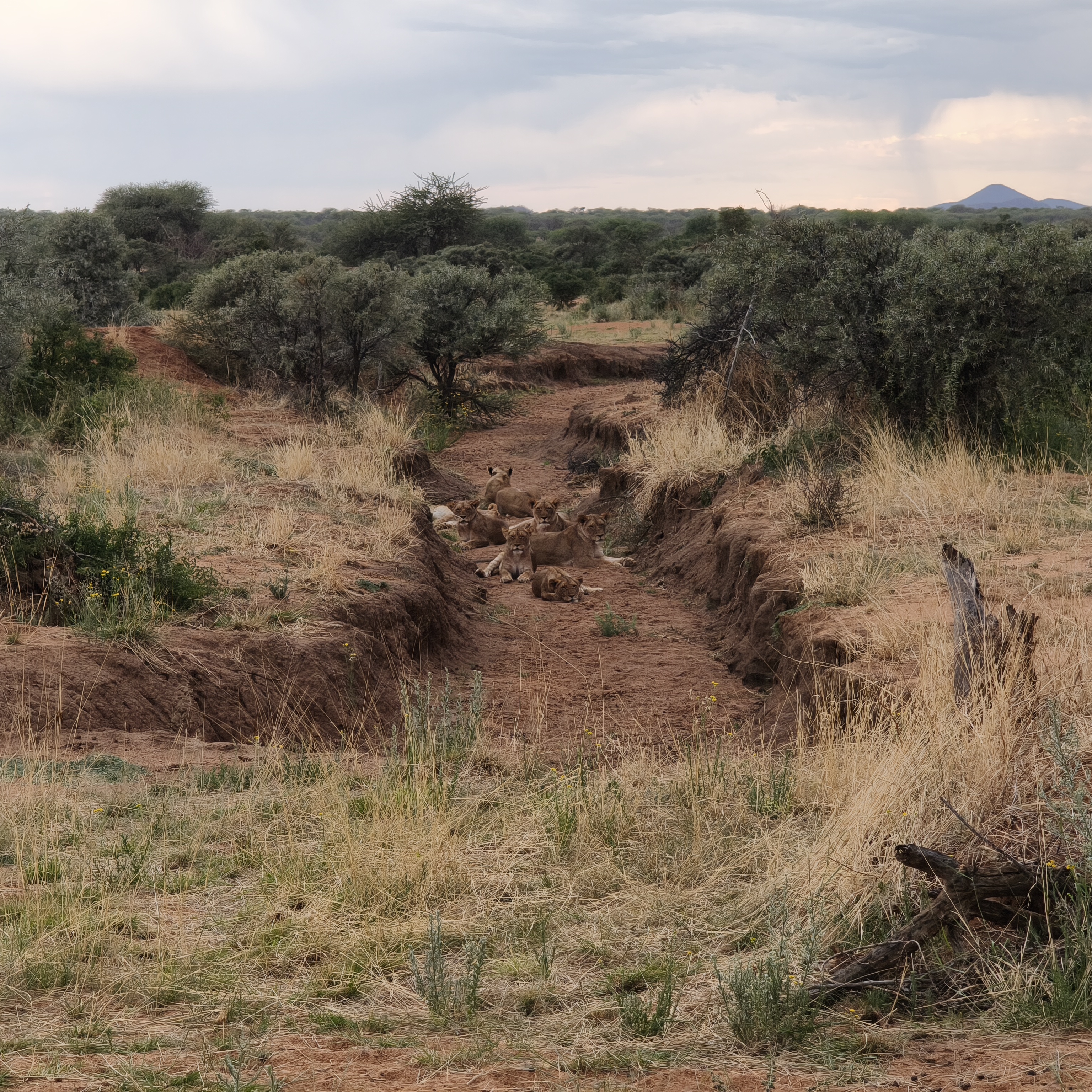 Via Claudia Bogensport in Kinsau Different courses Our course