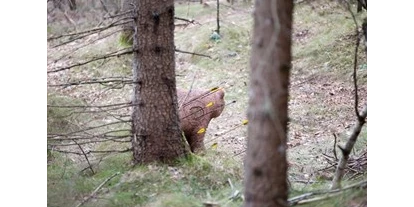 3D archery course - St. Veit an der Glan - Parcour Draga