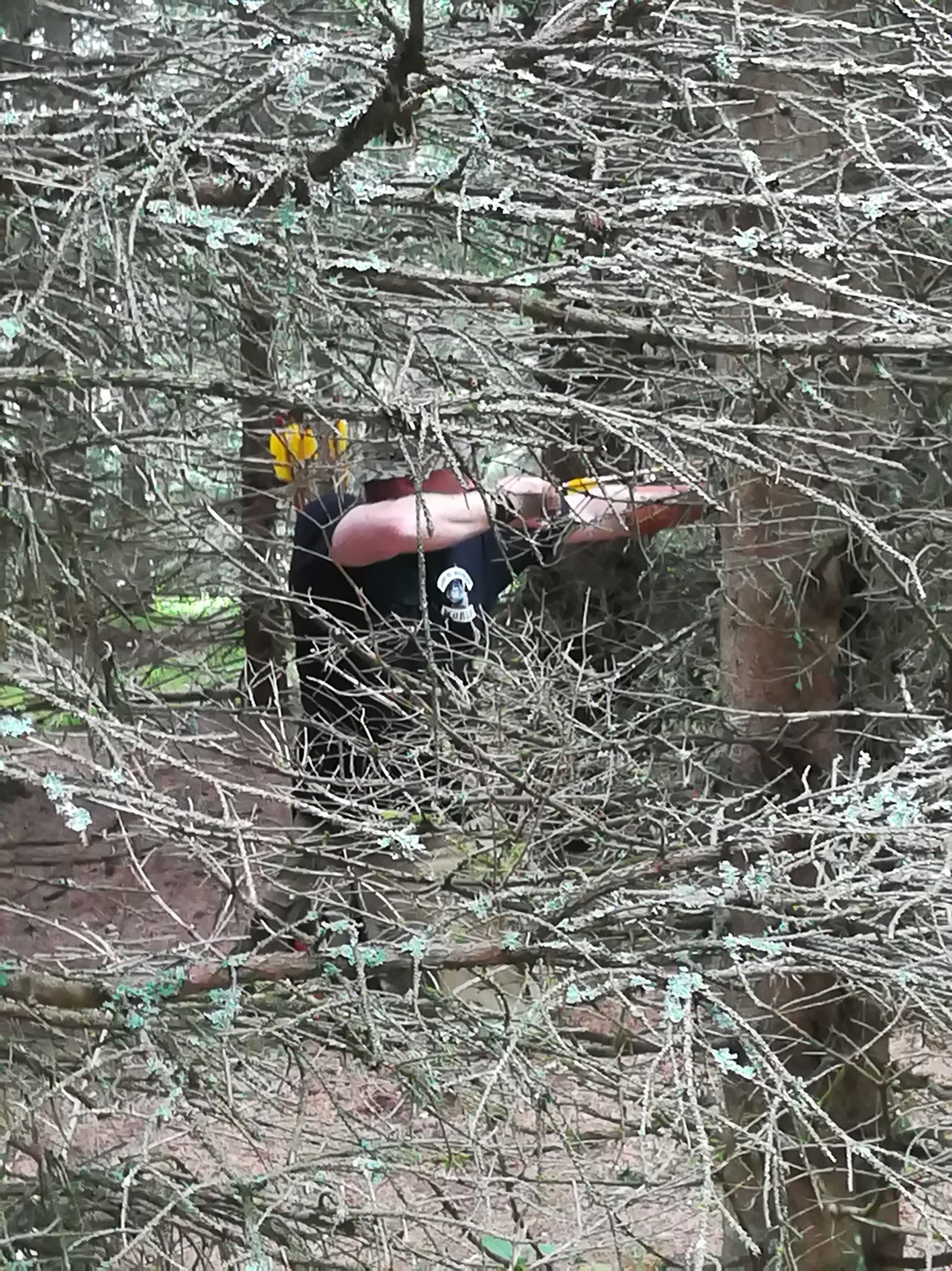 Parcour Draga  Unterschiedliche Parcours Fortgeschrittener Kurs