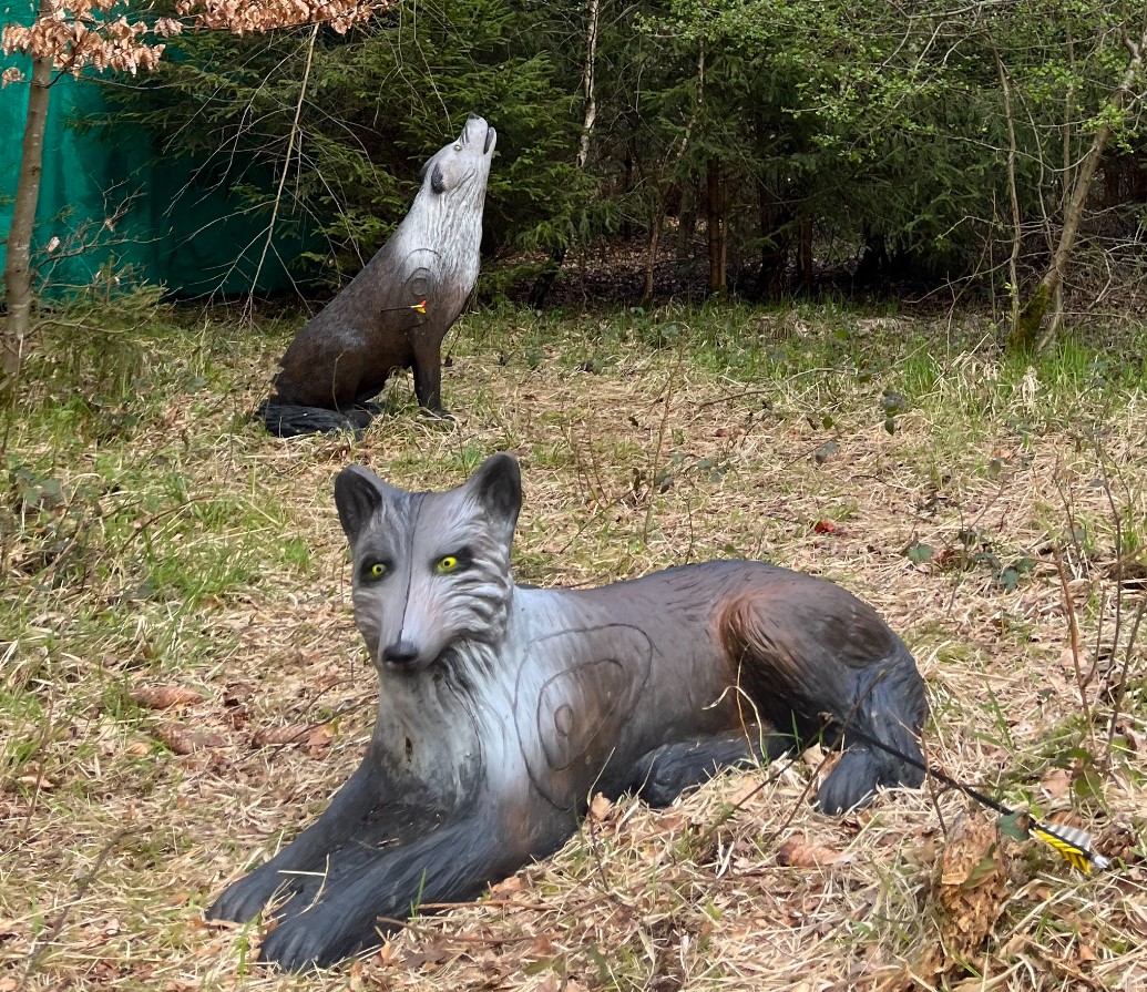 3D Parcour Bogensport - Teublitz - Bogenparcours Wolfertsfeld