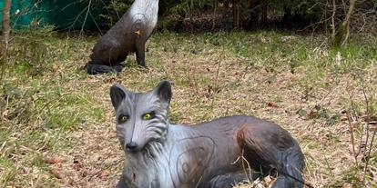 3D Parcour Bogensport - Laaber - Bogenparcours Wolfertsfeld