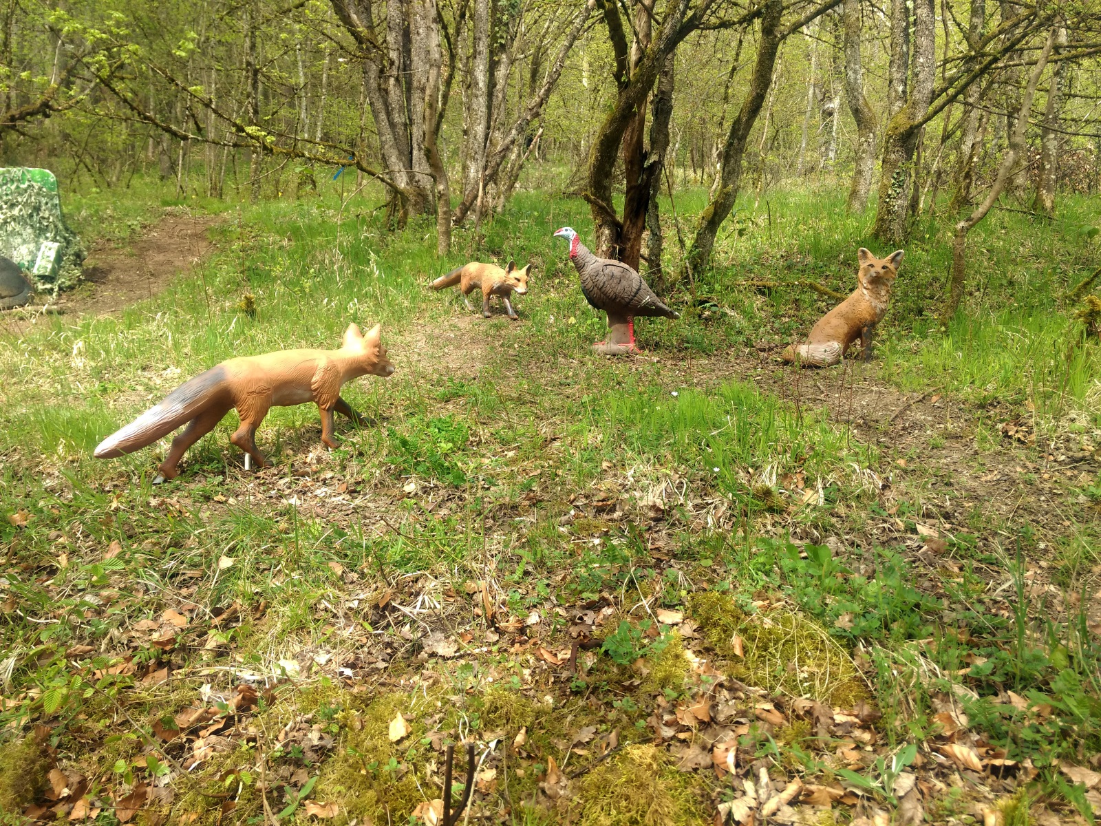 3D Parcour Bogenschießen: 3D Parcours  Freien Bogenschützen Fränkische Schweiz e.V.>