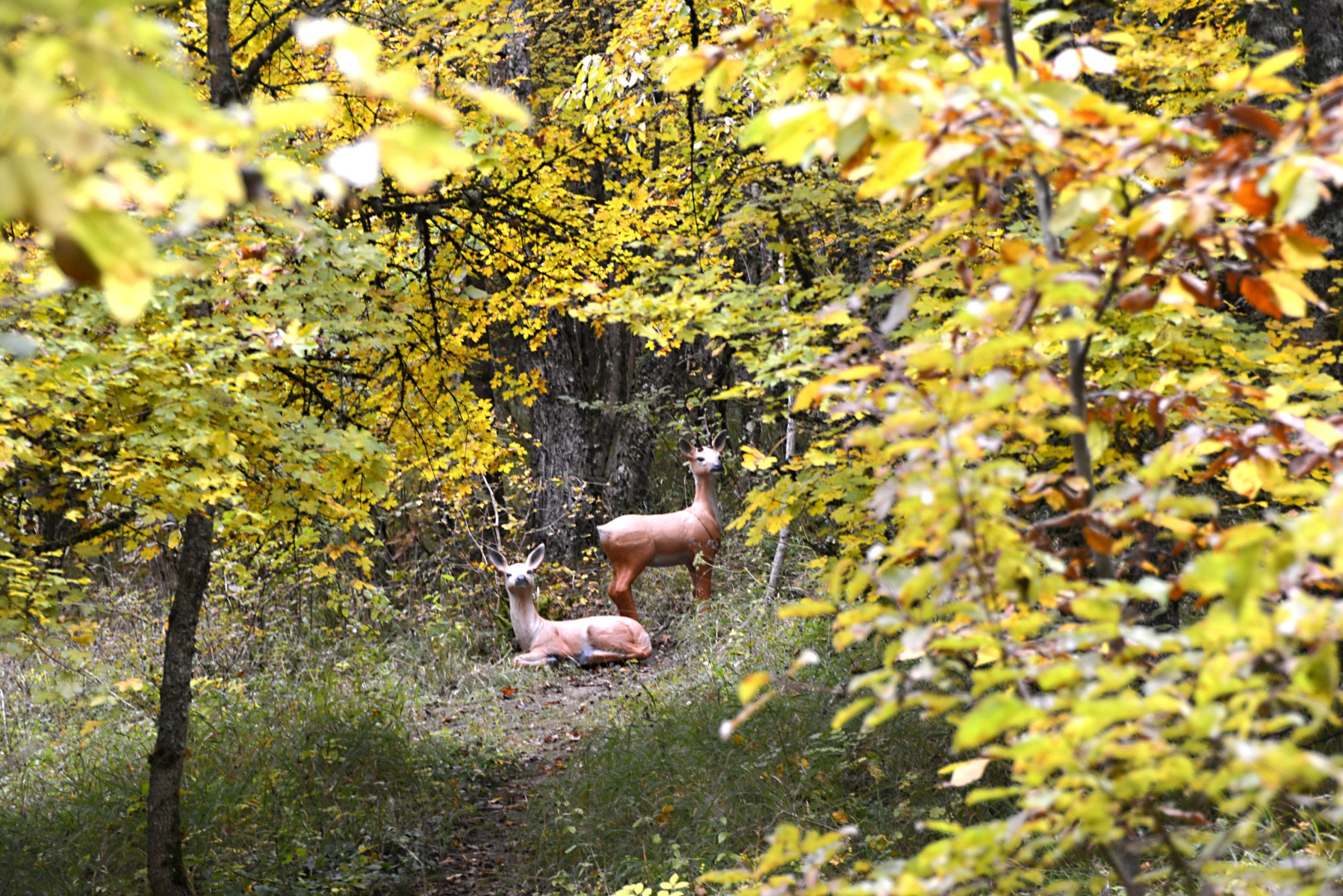 3D archery course - Bavaria - 3D Parcours  Freien Bogenschützen Fränkische Schweiz e.V.>