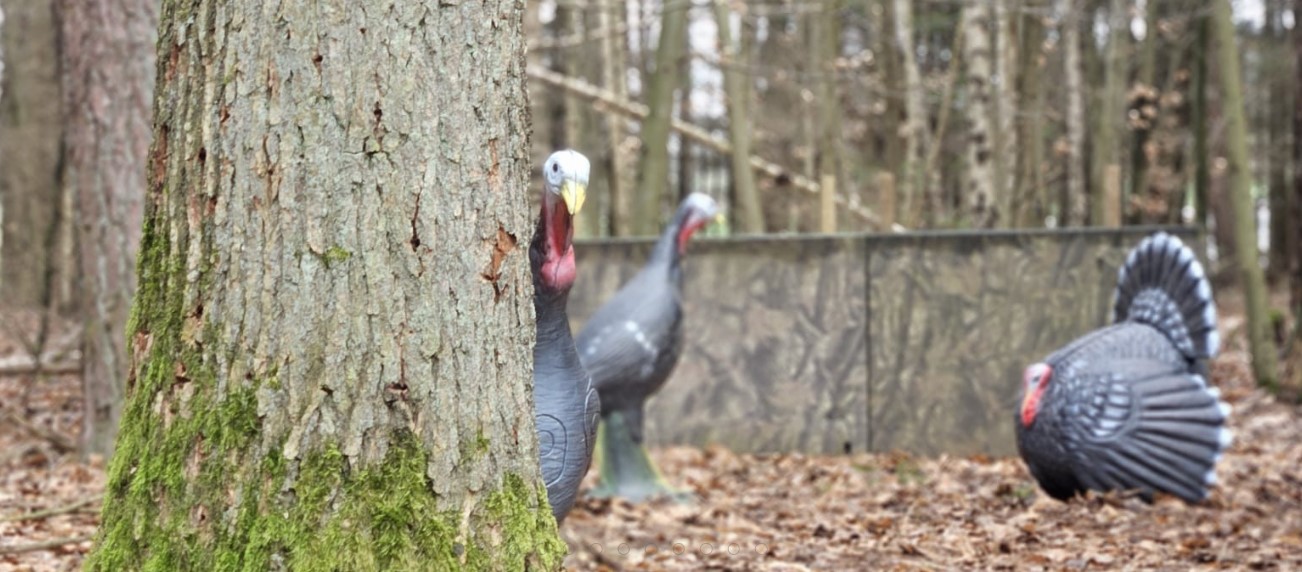 3D archery course - Bavaria - Bucher Bogner 3D Parcour