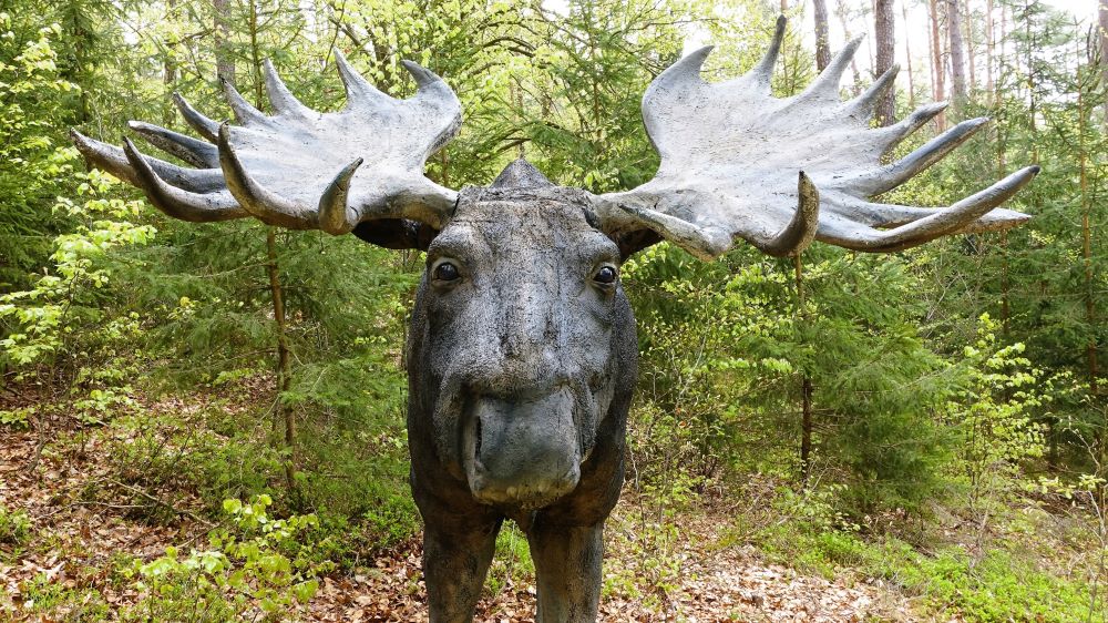 3D Parcour Bogensport - Teublitz - Bogenparcours auf Schloß Guteneck