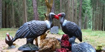 3D Parcour Bogensport - Teublitz - Bogenparcours auf Schloß Guteneck