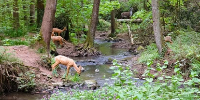 3D Parcour Bogensport - Teublitz - Bogenparcours auf Schloß Guteneck
