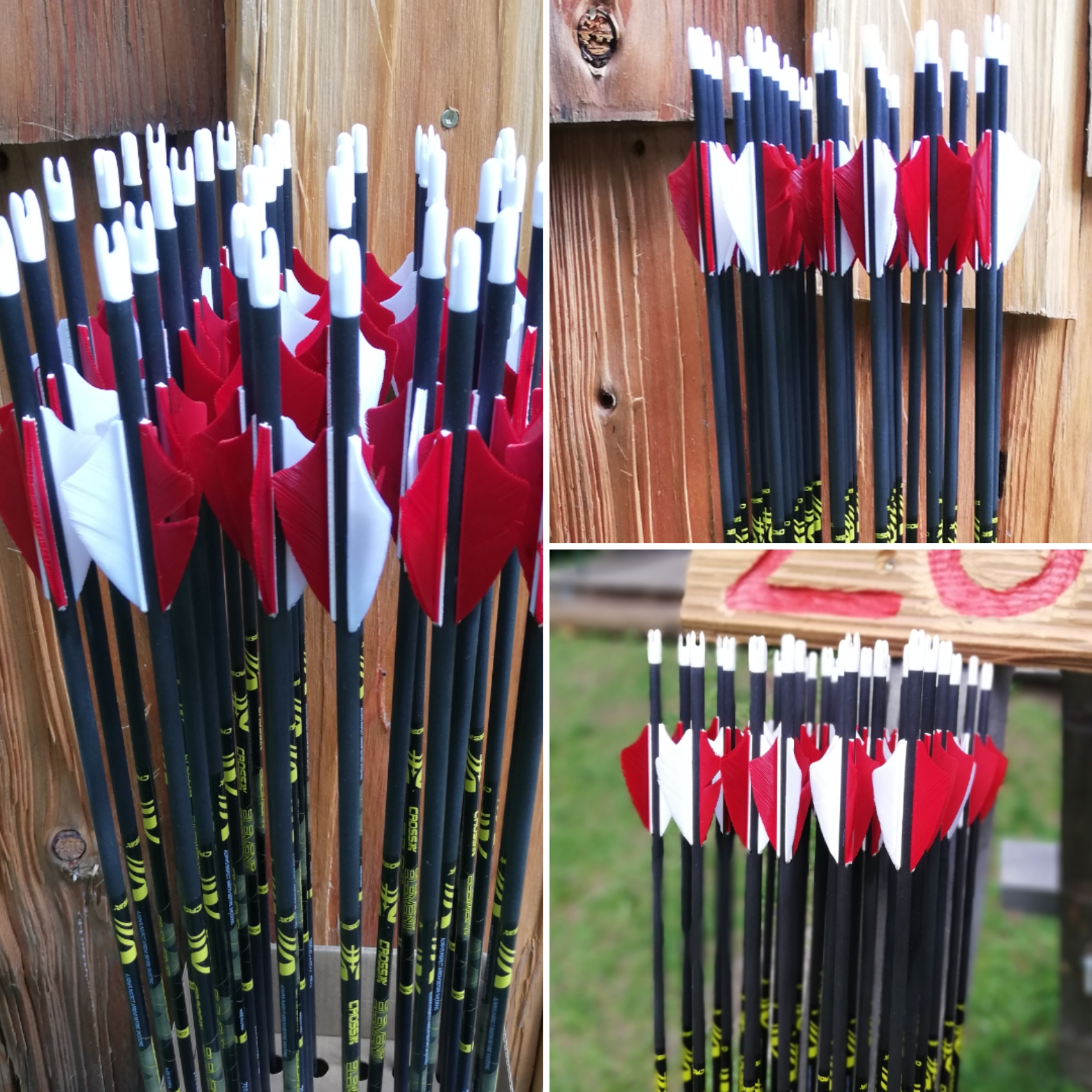 3D Parcour Bogensport - Österreich - Bogenshop Hood Wood