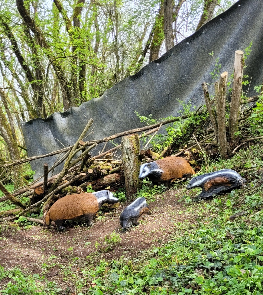 3D Parcour Bogenschießen: Streutal Parcours