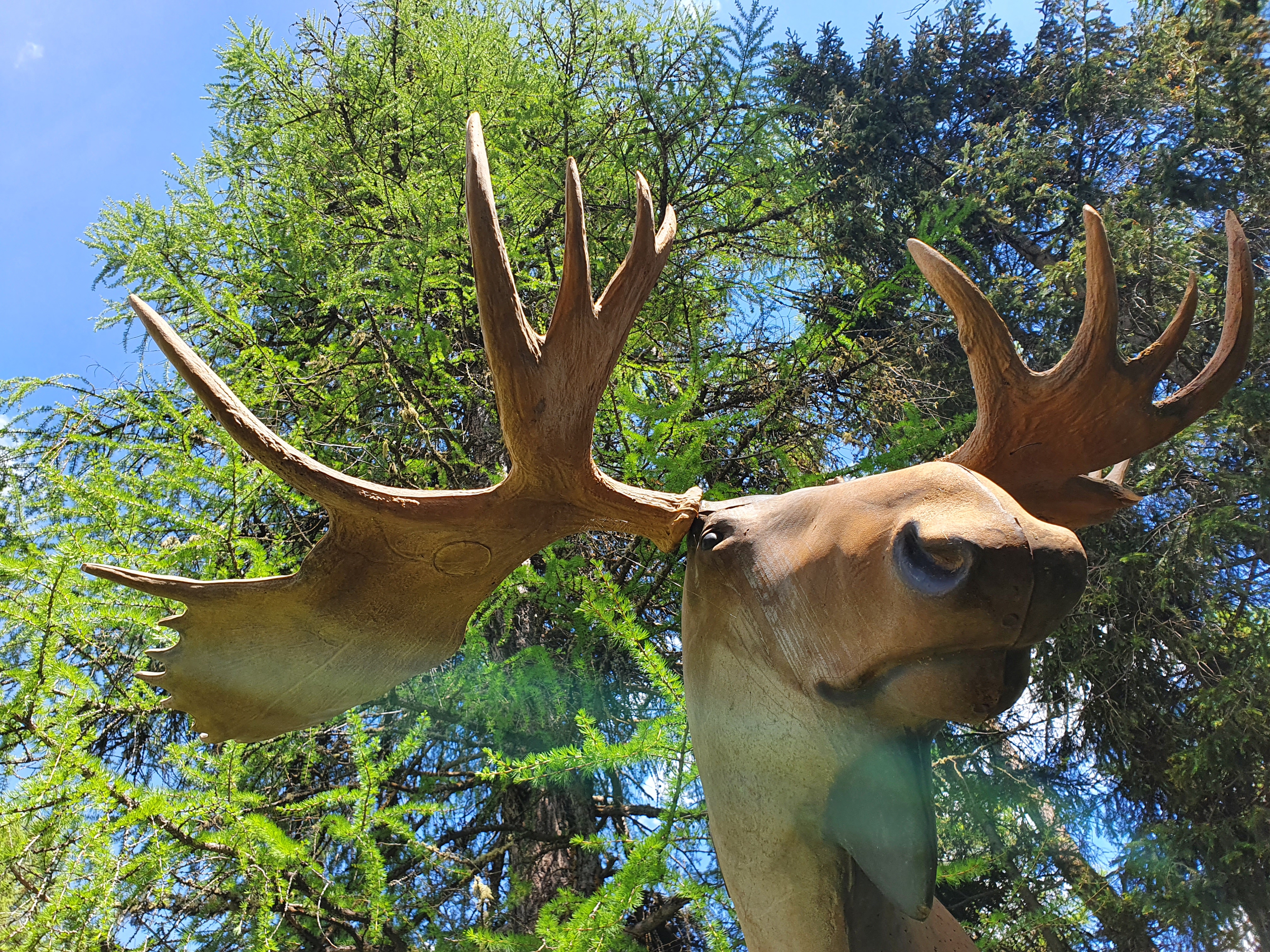 3D Parcour Bogensport - Schweiz - unser 100m Schuss ! - Bogenparcours Engadin