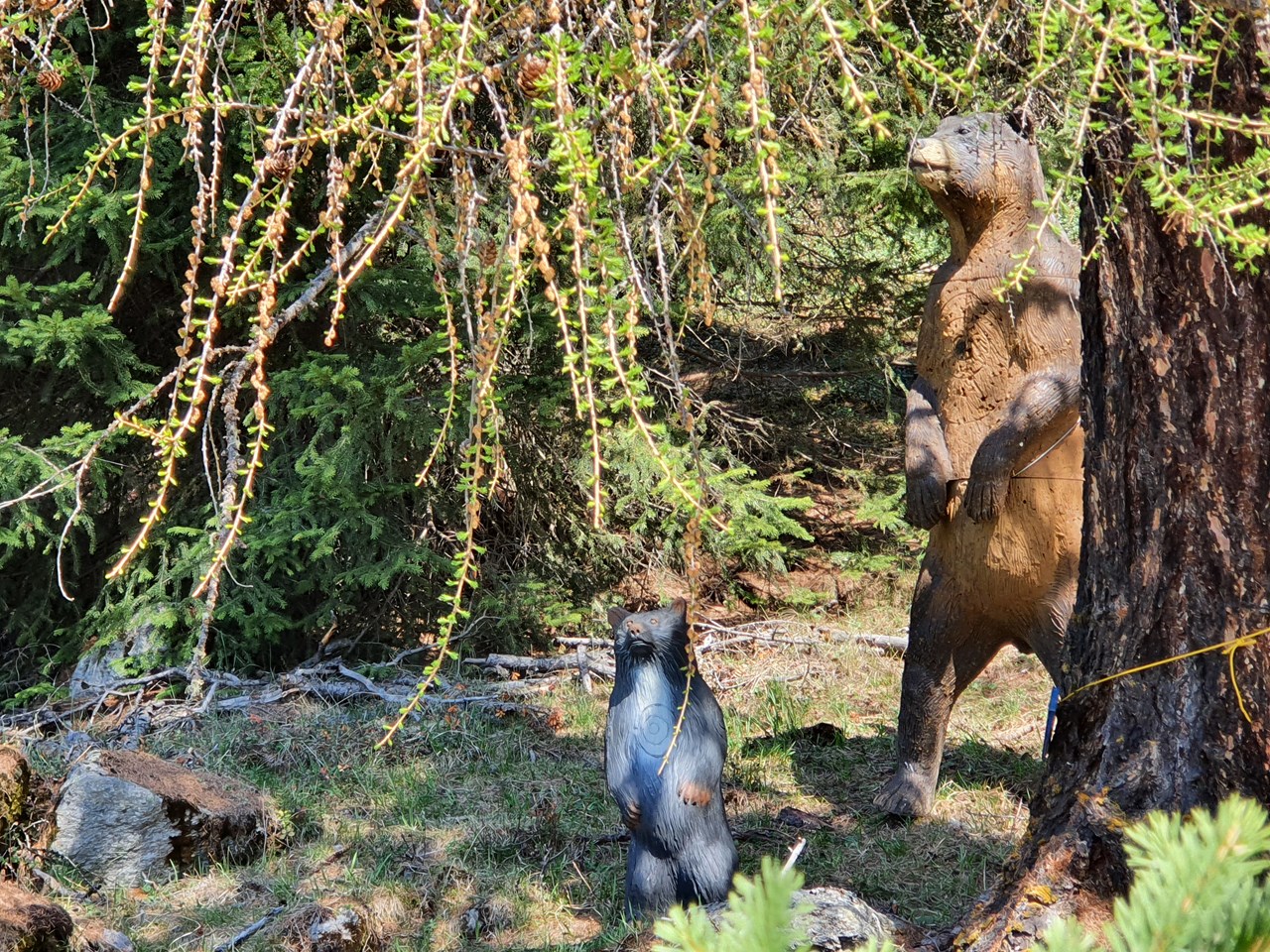 Bogenparcours Engadin Different courses 28 stations course