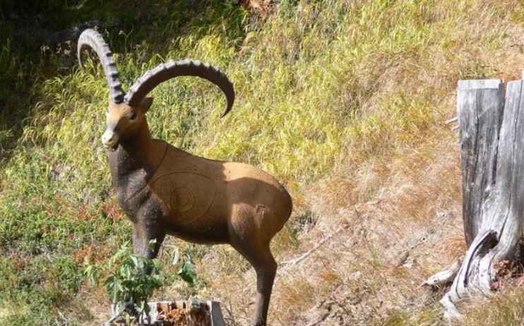 3D Parcour Bogensport - Brand (Brand) - 3D-Parcours Madrisa - Bogenschützen Davos-Klosters